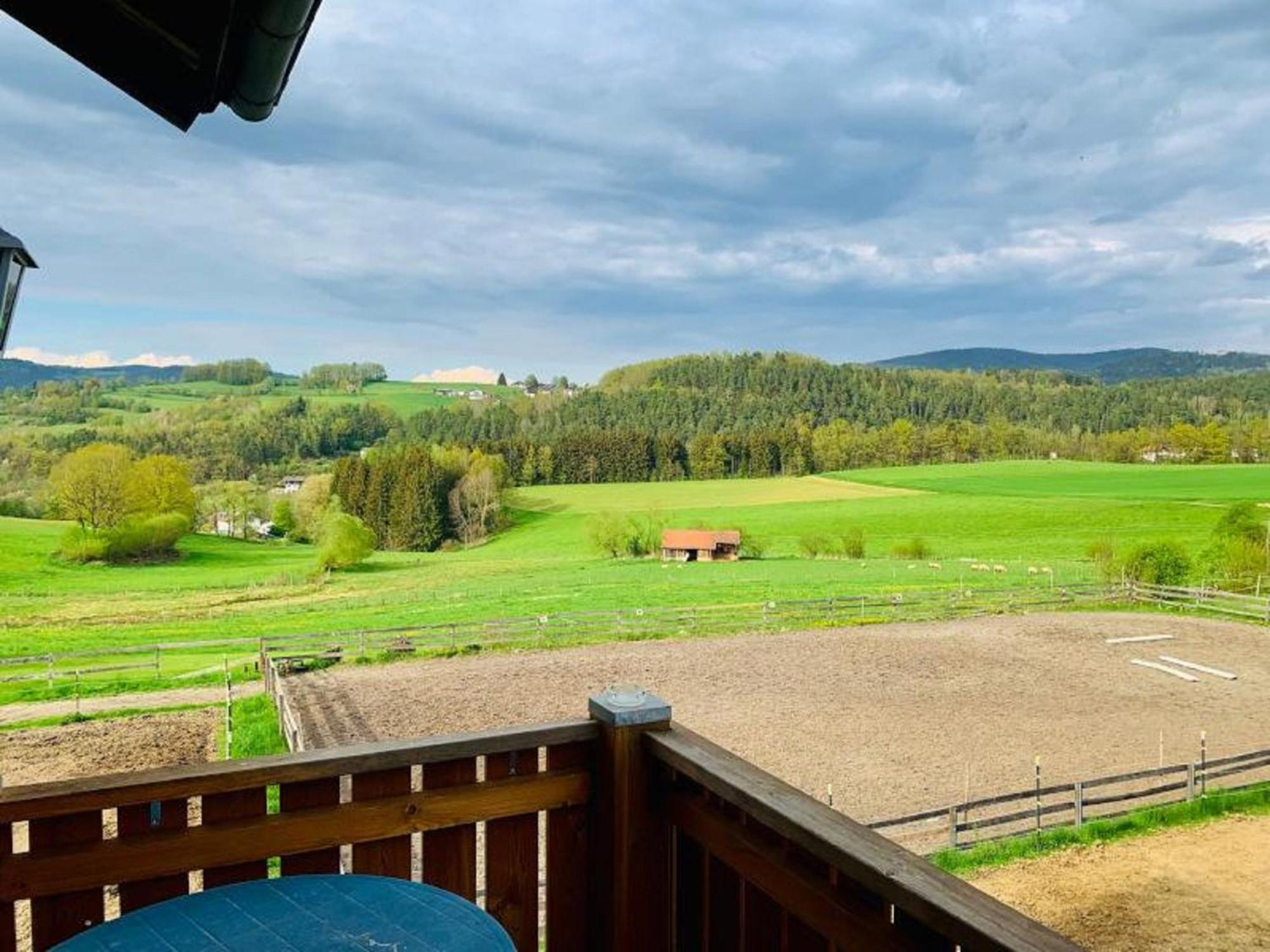 Feriendorf Schwarzholz Viechtach Bagian luar foto